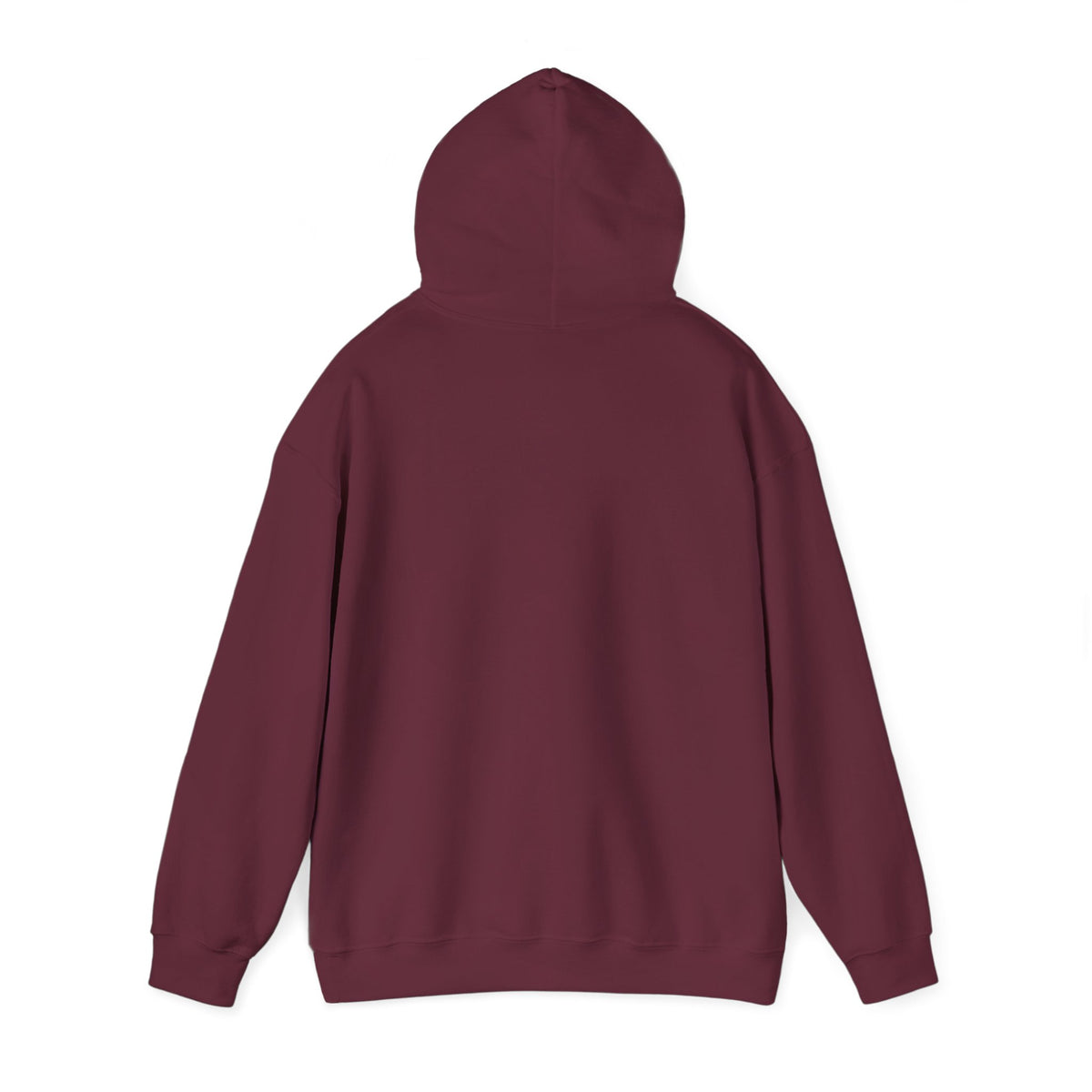 JCIV_Beltz Hoodie