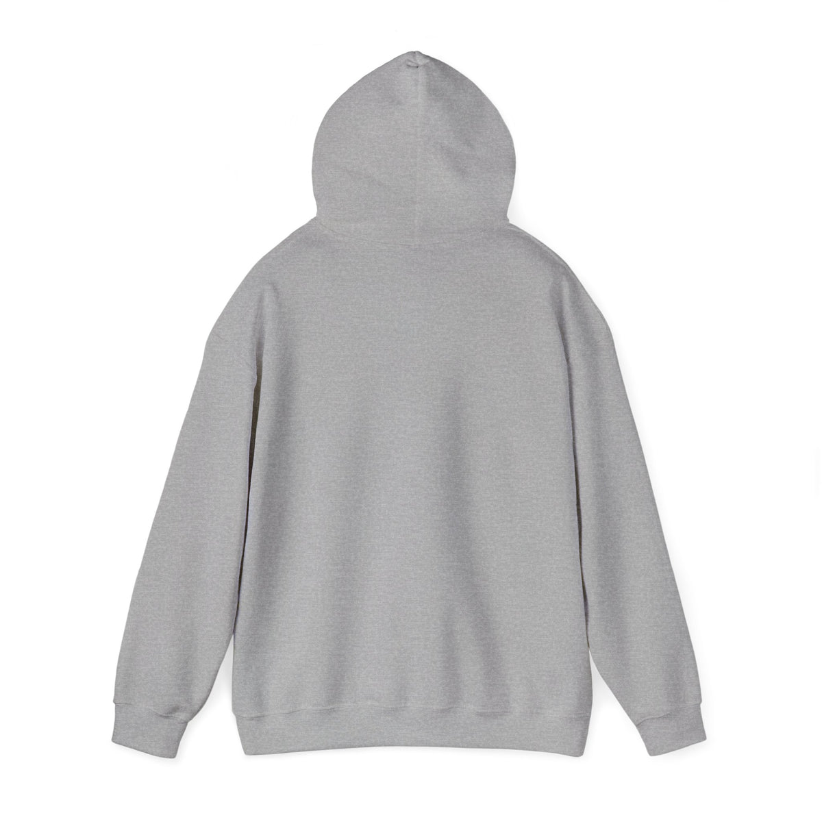 JCIV_Beltz Hoodie