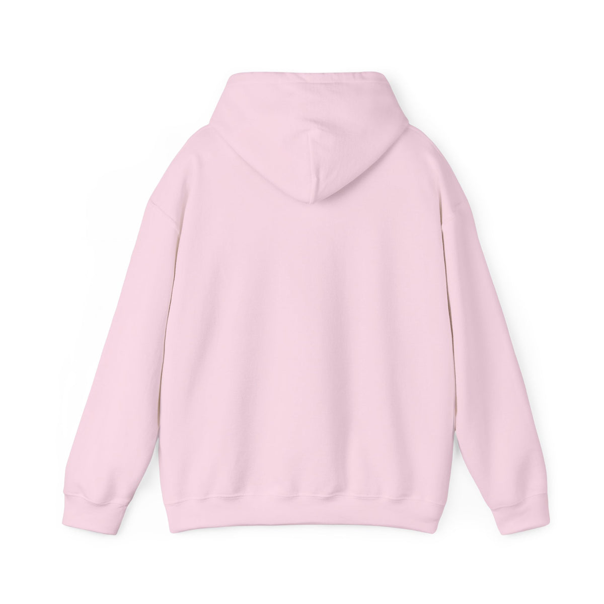 JCIV_Beltz Hoodie